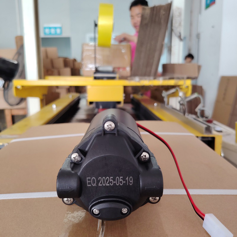 Zuanli Boost Pumps forsendelse i dag til containerbelastning!