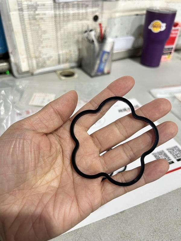 Ro Booster Pump Seal